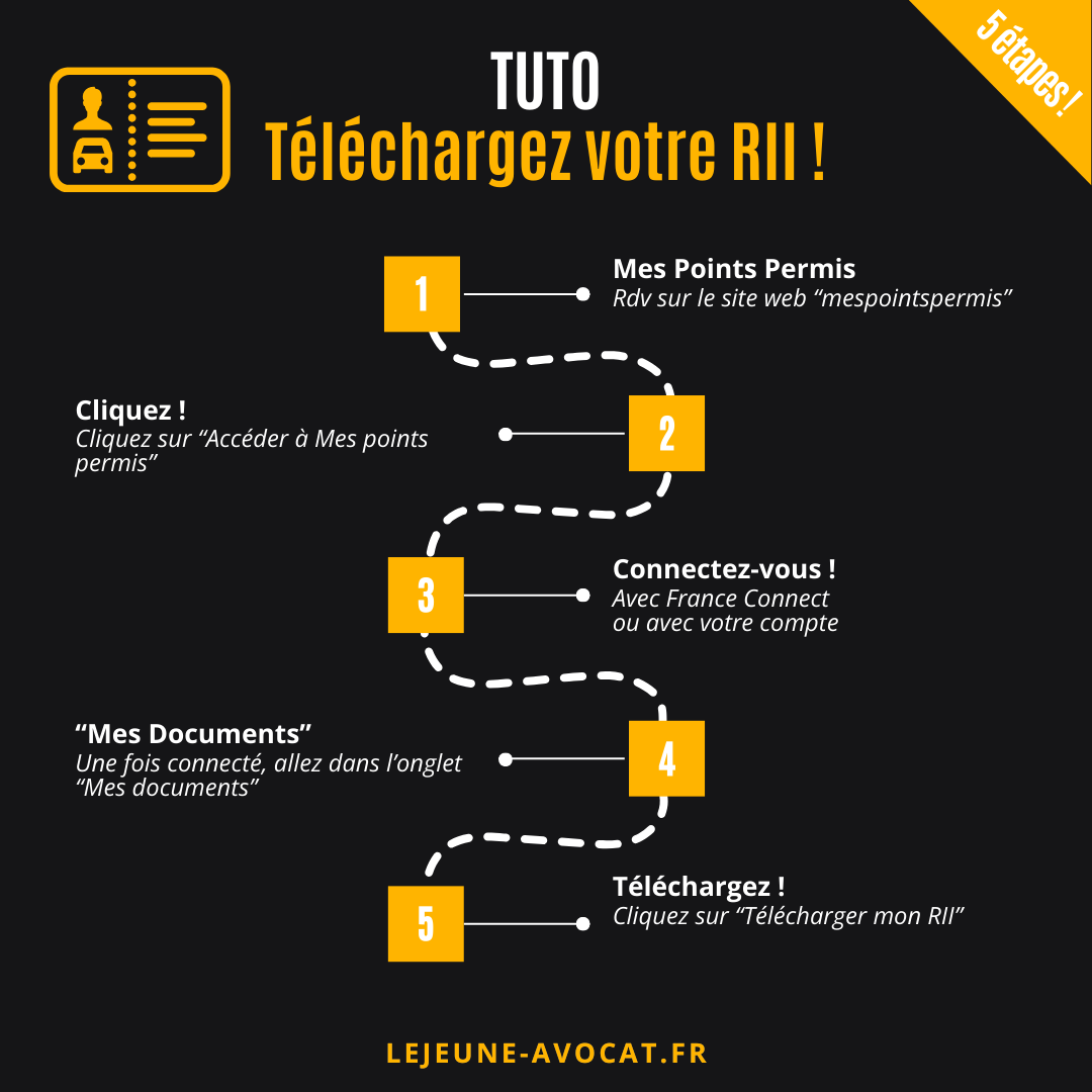 télécharger rii relevé d'information intégral en ligne