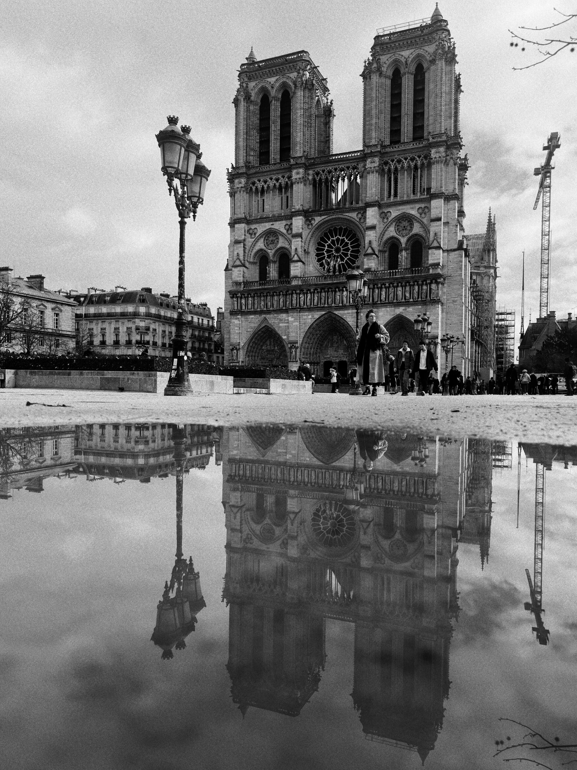 cathédrale notre dame de paris