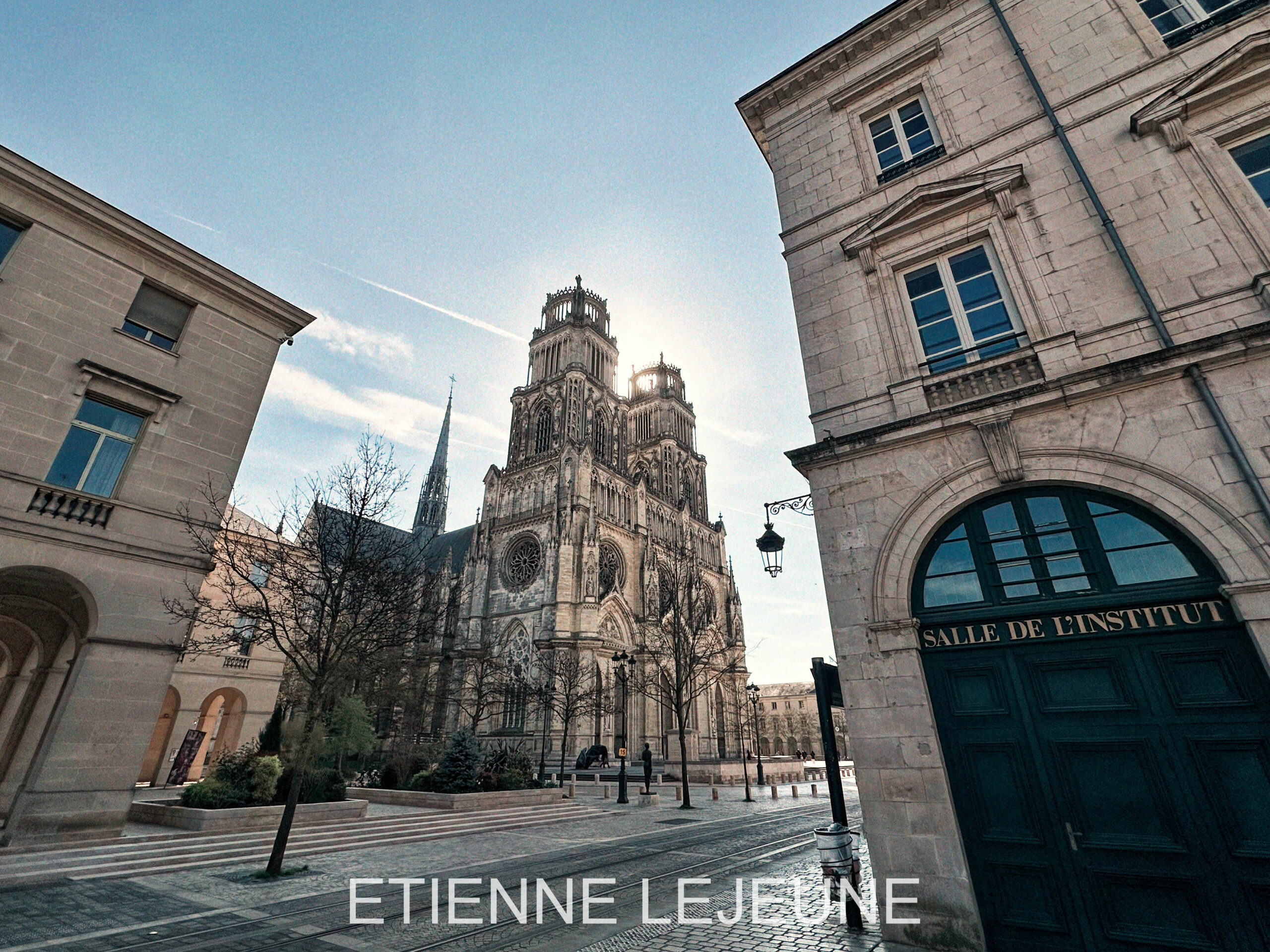 avocat permis orléans