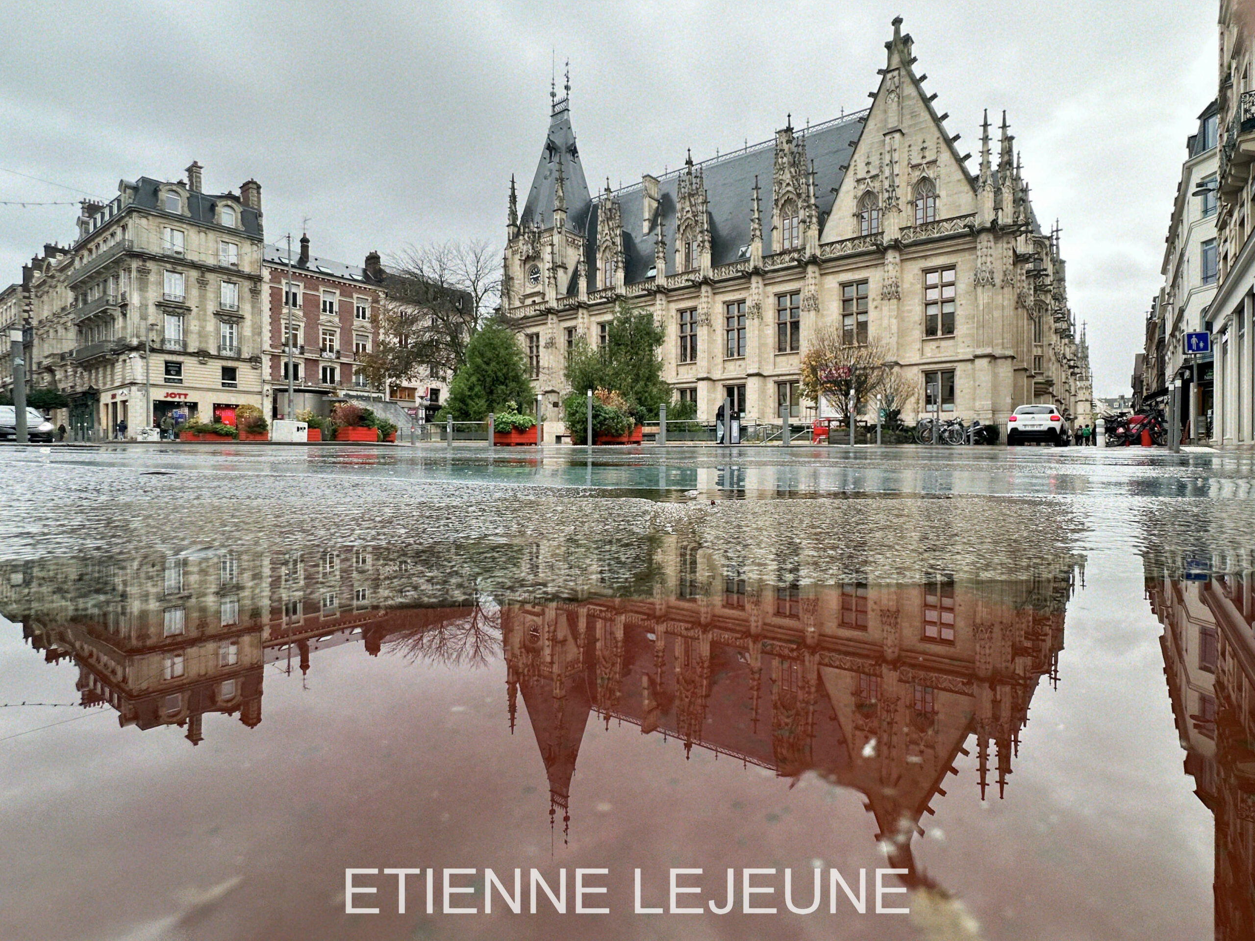 avocat permis rouen